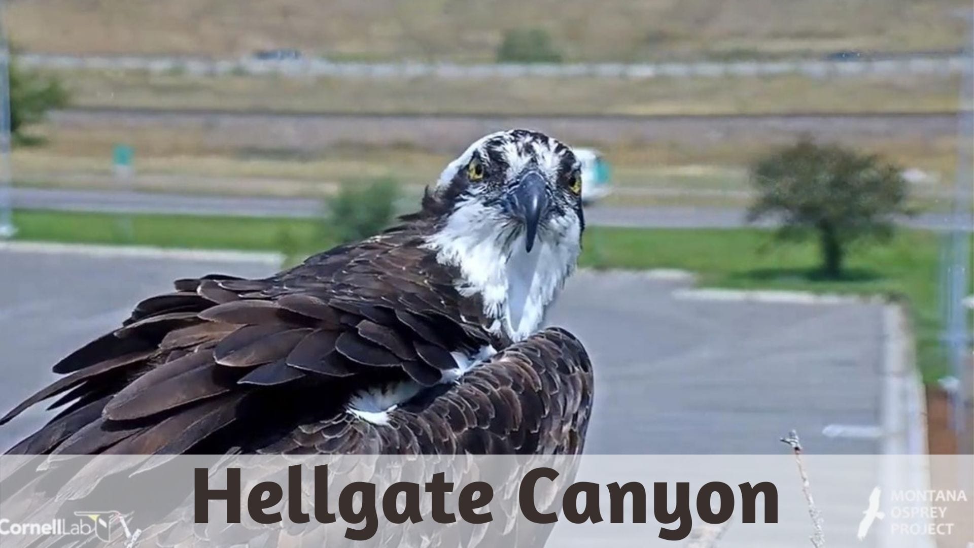 Hellgate Canyon