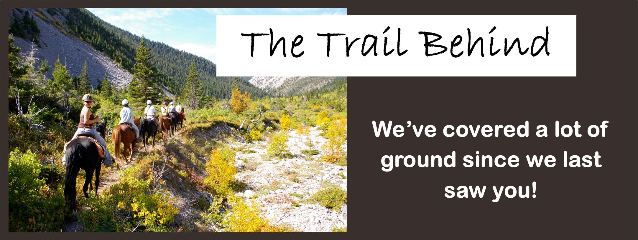 Brown The Trail Behind Brown The Trail Behind