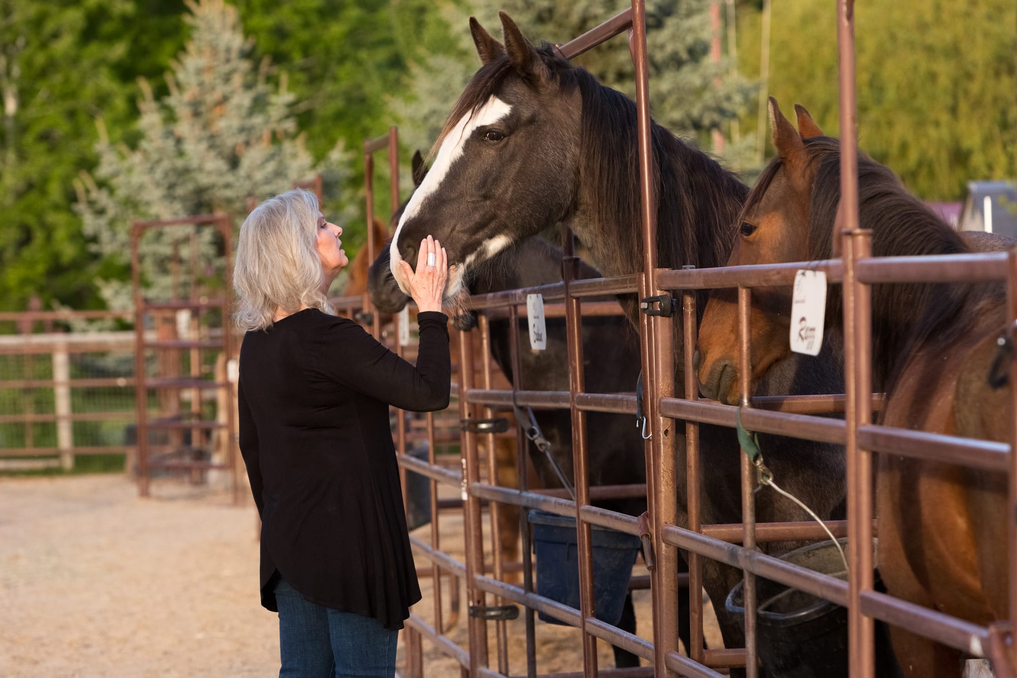 Dunrovin Ranch Destination Missoula Harlequin Contest By Pam Voth Photography A9A8155