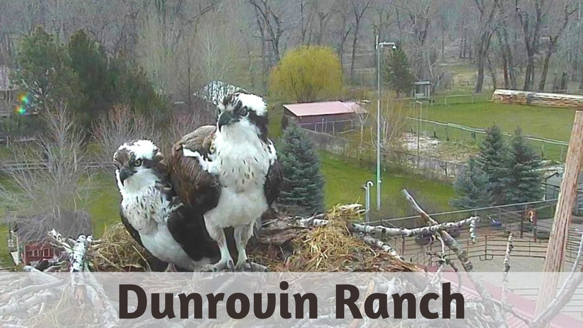 Dunrovin Ranch
