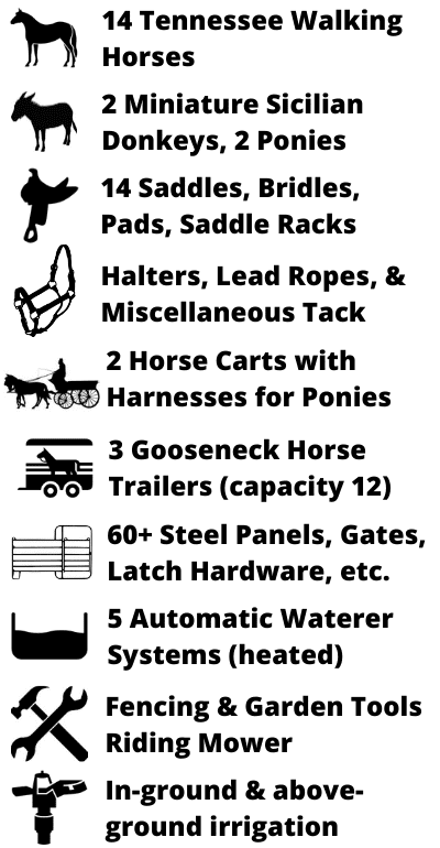 DunrovinAssets2
