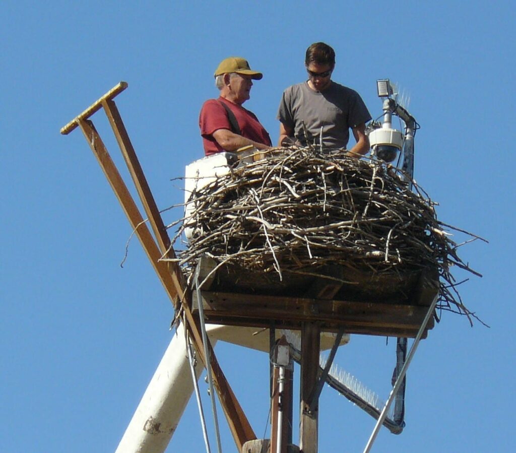 James At Nest