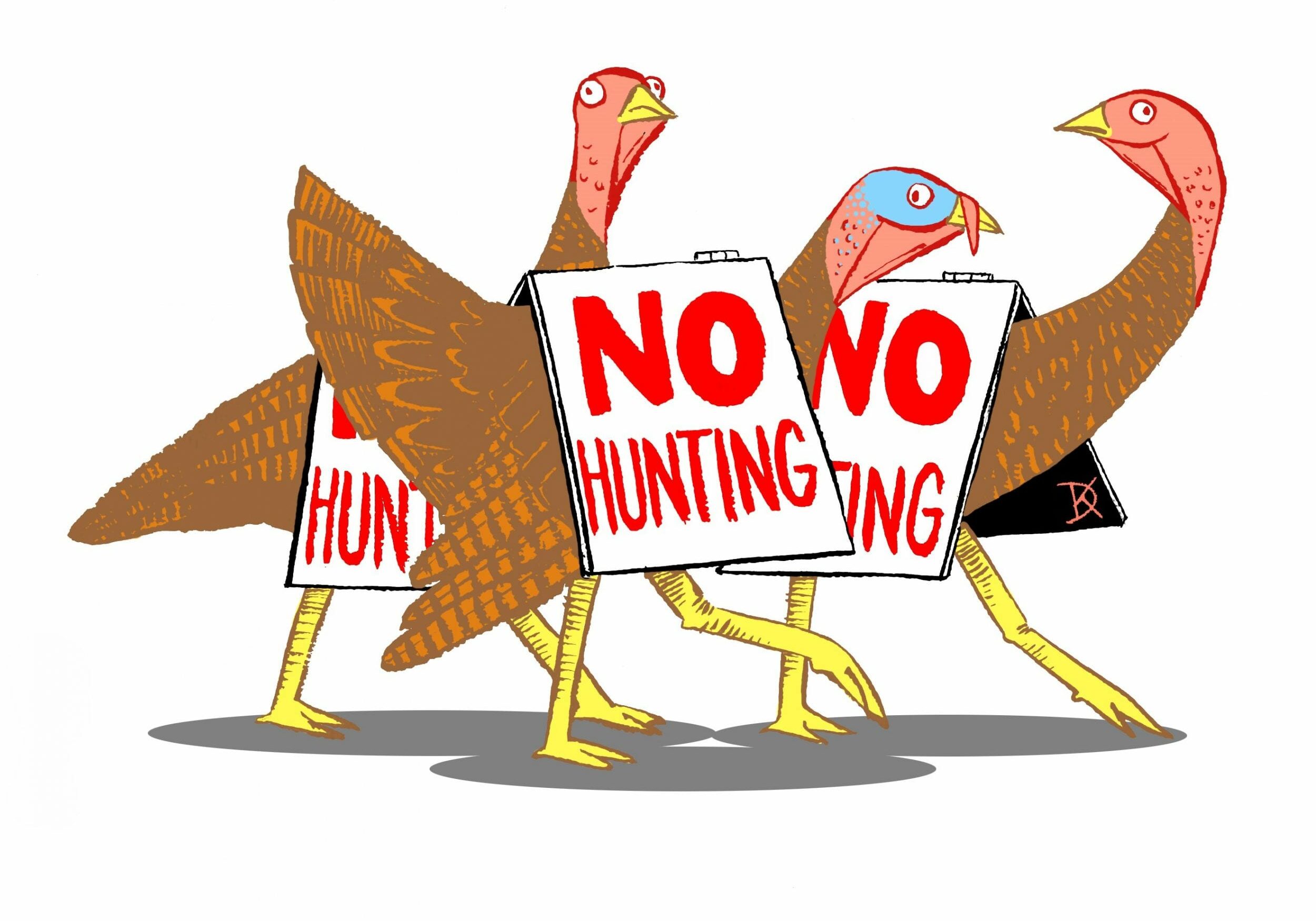 2019 11 DIVAS Turkeys With Signs 2019 11 DIVAS Turkeys With Signs