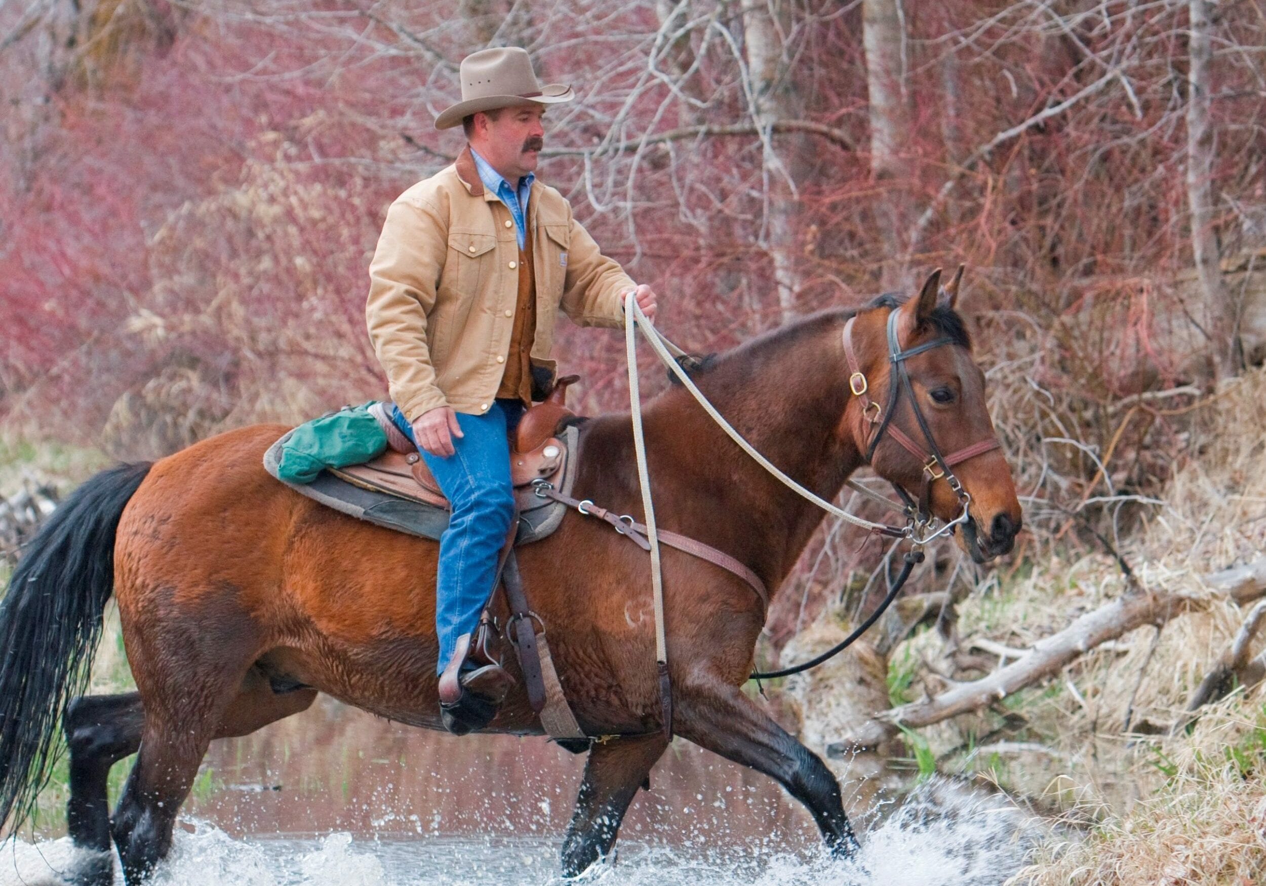 Brandon On Power Coming Up From River Cropped