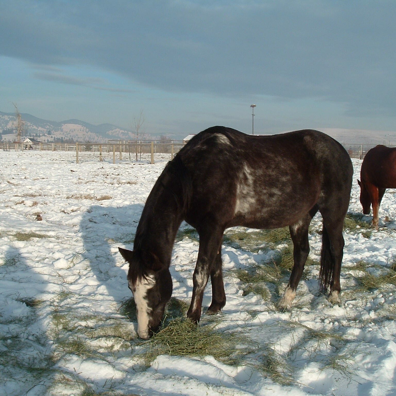 Charger In Winter