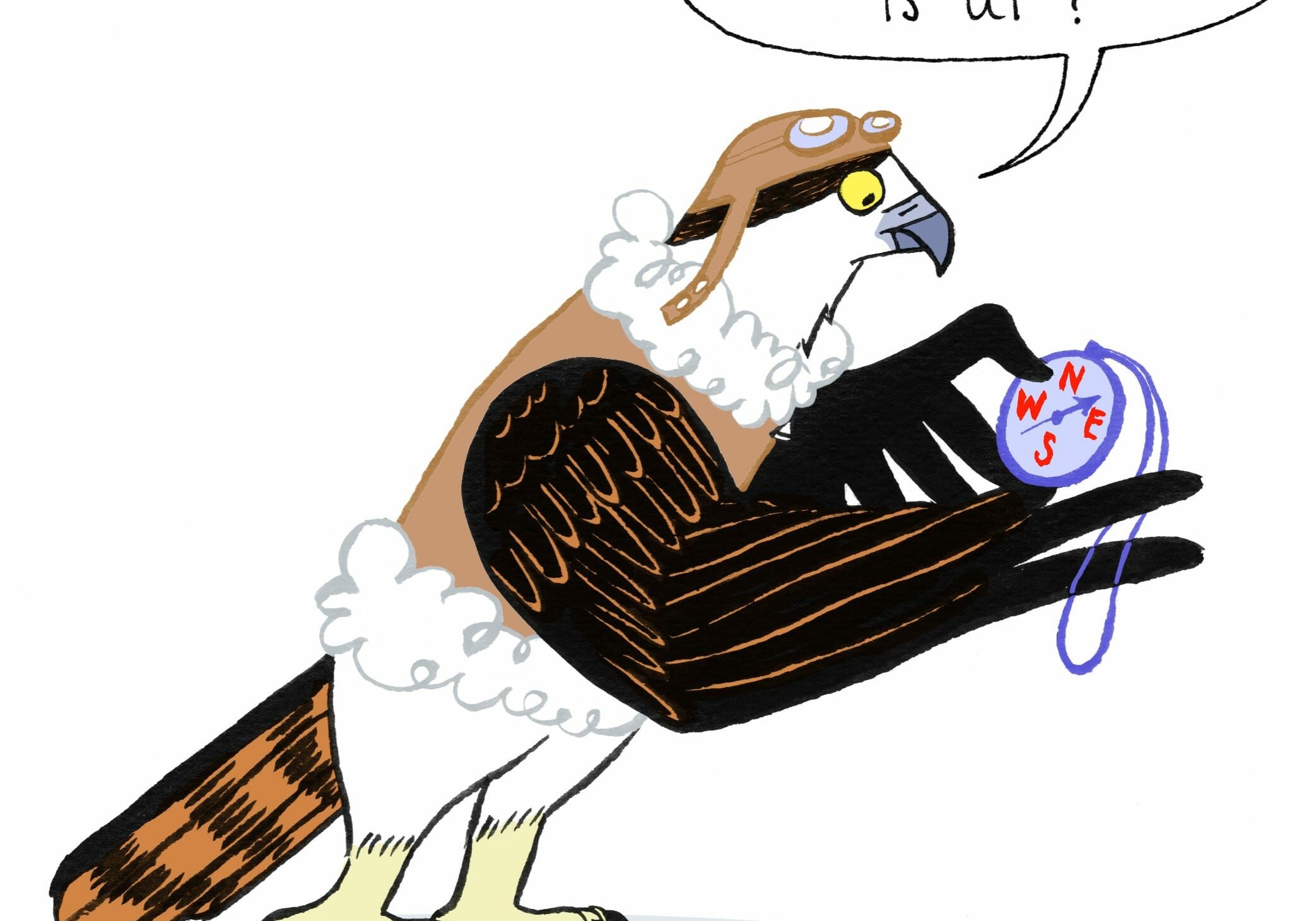 Hal Wirh Compass Hal Wirh Compass